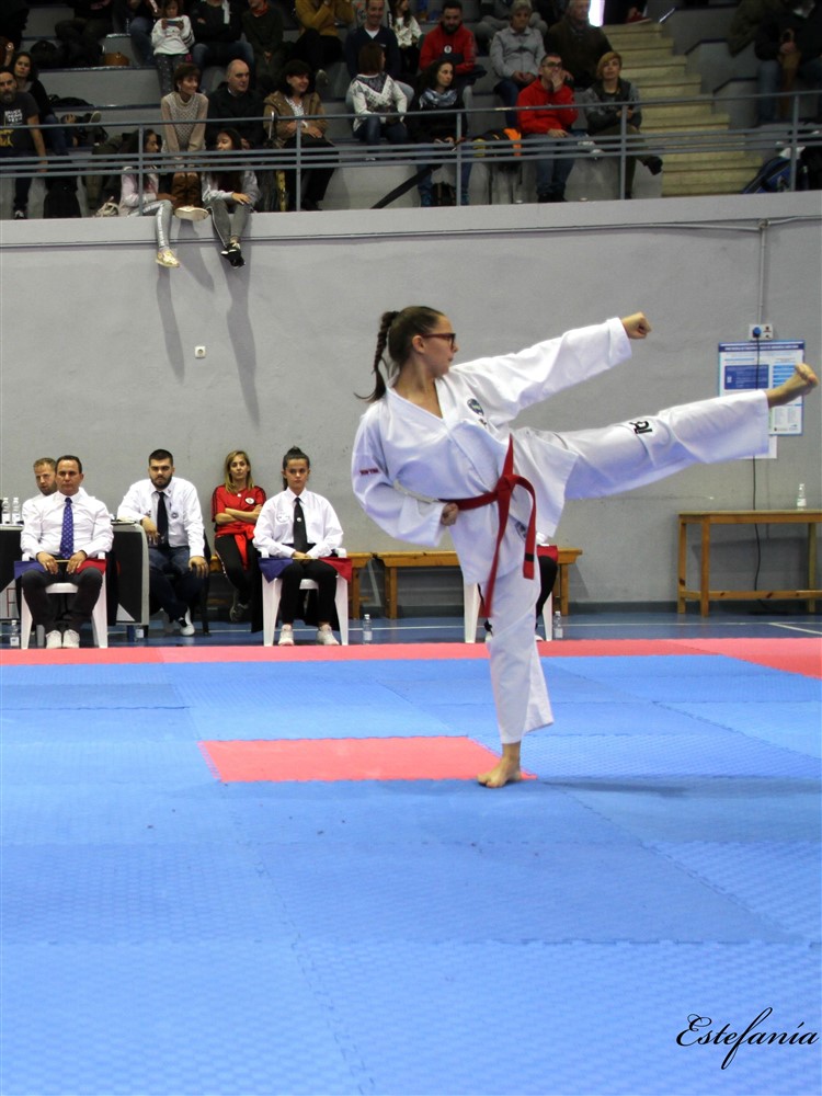 Copa Seul 2018 (463).jpg